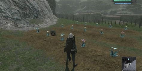 nier replicant how to plant seeds